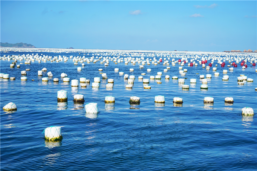 嵊泗美食推荐攻略,嵊泗列岛旅游攻略美食
