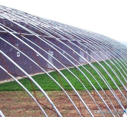 钢结构大棚怎么整体提升,大棚骨架建造全过程