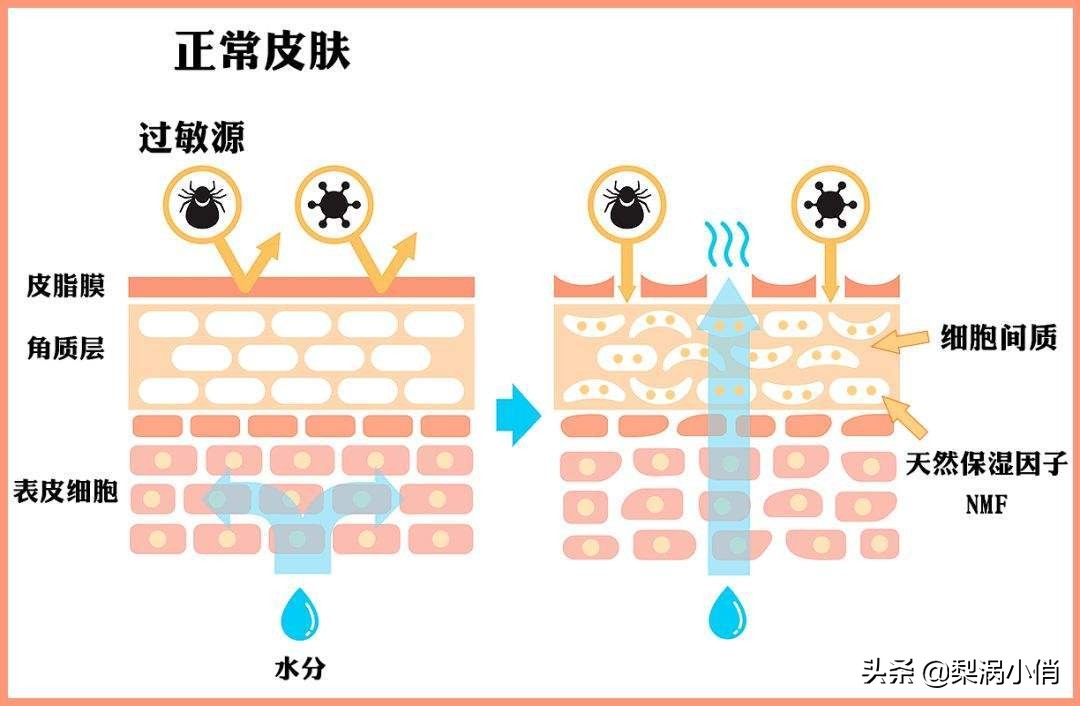屏障受损修复乳推荐油皮,干性皮肤屏障修复乳排行