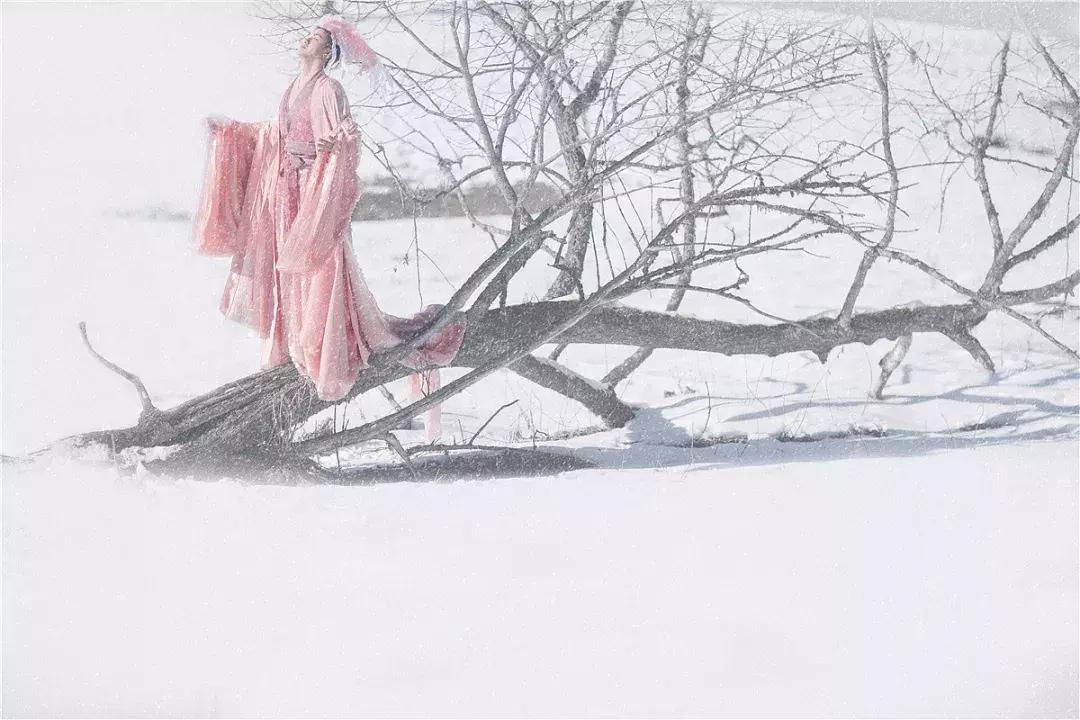 90后女孩拍稀有动物,90后女孩拍视频200万