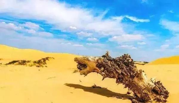 内蒙古通辽景点排名第一的是哪里,内蒙古通辽市旅游景点都有哪些