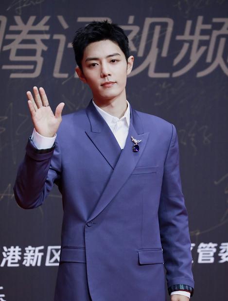 肖战星光大赏红毯相片,肖战星光大赏走红毯图片