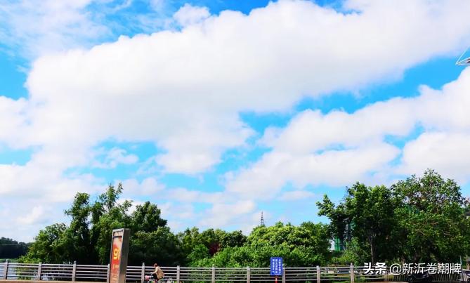 白云飞动蔚蓝天解析,白云飞动蔚蓝天出自哪首诗