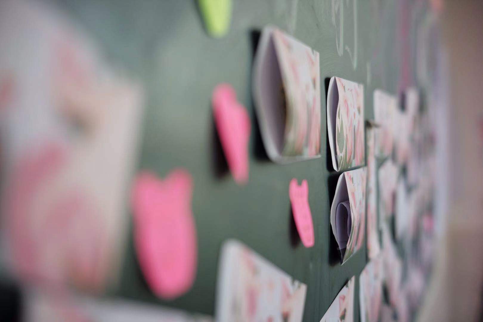 探访纪实,探访实录