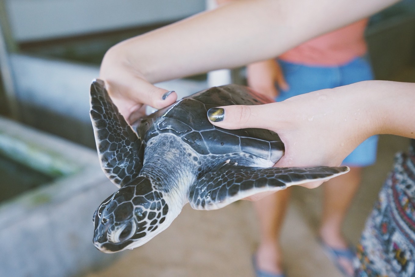 带着甜甜奶茶香的斯里兰卡小环岛之旅+两家安缦全体验