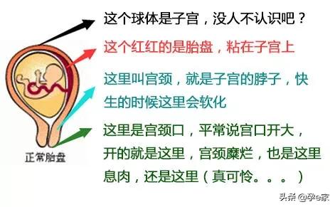 孕早期出血不要惊慌,孕早期出血要不要打保胎针