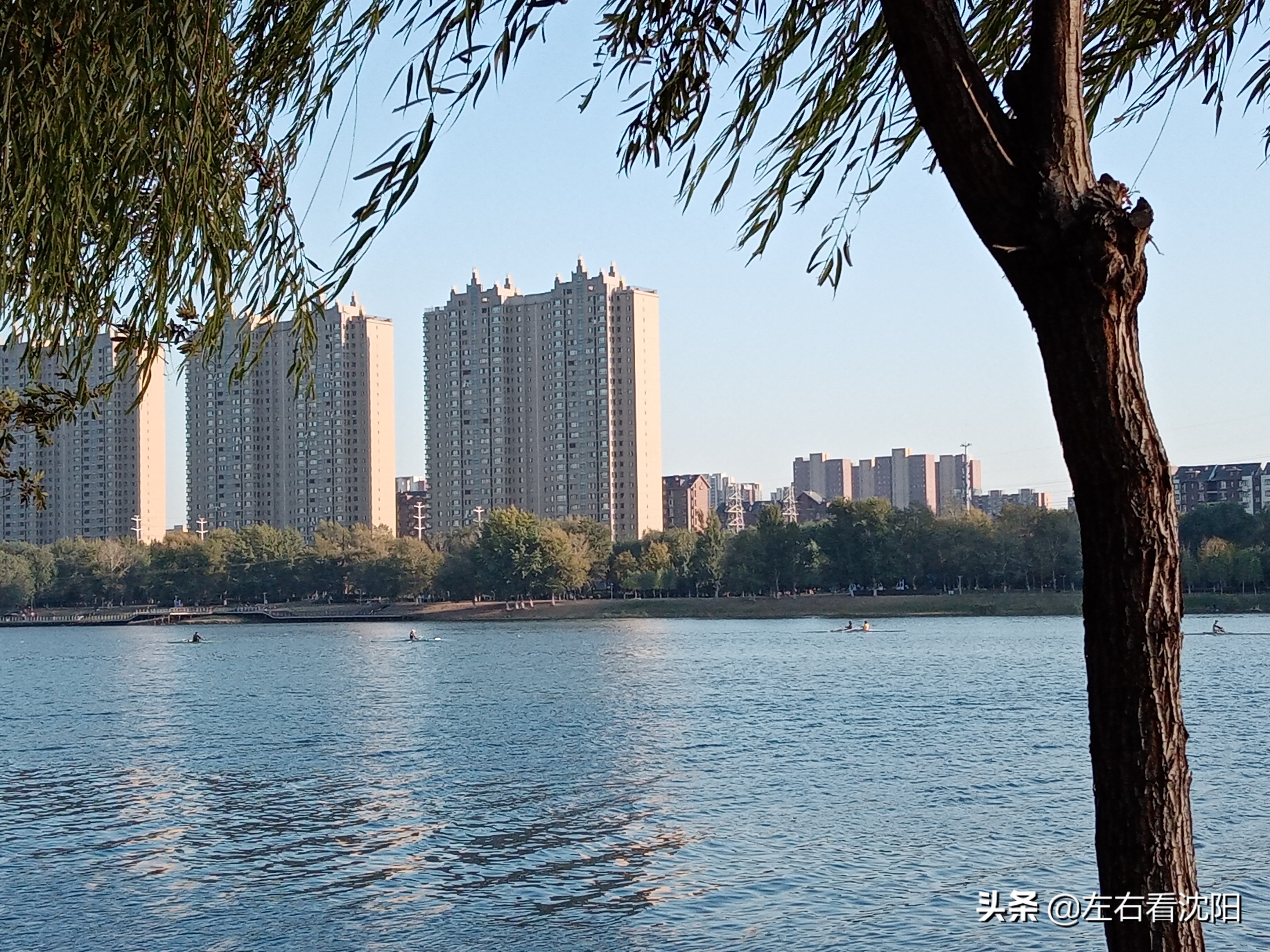 沈阳五里河公园攻略,沈阳五里河公园现在开吗