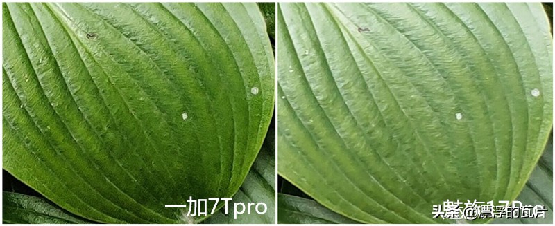 魅族17pro和oppofindx2pro,魅族17pro对比oppofindx2pro