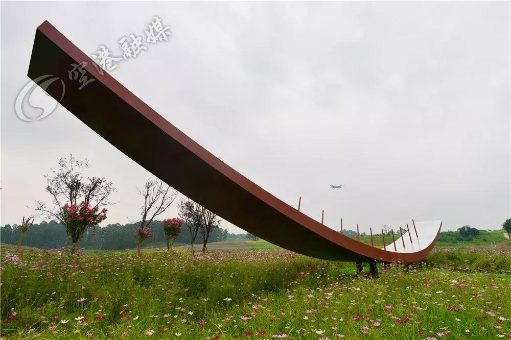 来成都打卡空港花田,成都双流空港花田打卡看飞机