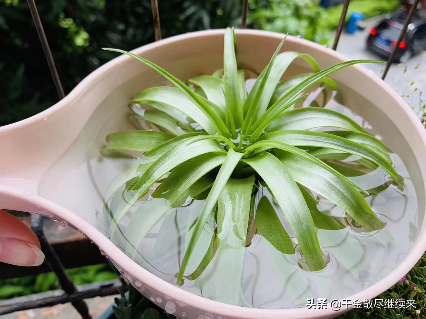 收录机哪款最经典,收录机经典