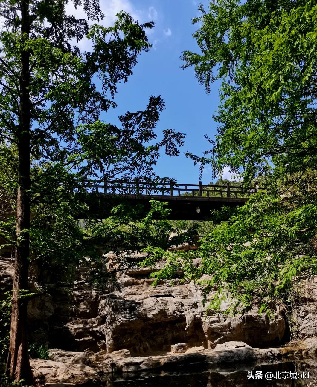 北京人的记忆北冰洋,陶然亭大雪山对北京孩子的意义