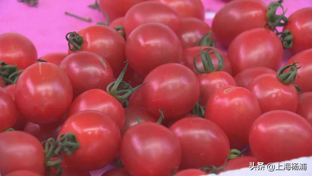 有哪些和草莓类似价格的平价水果,草莓贵族水果盘点