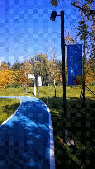 廊坊三叶公园项目信息,廊坊三叶公园附近