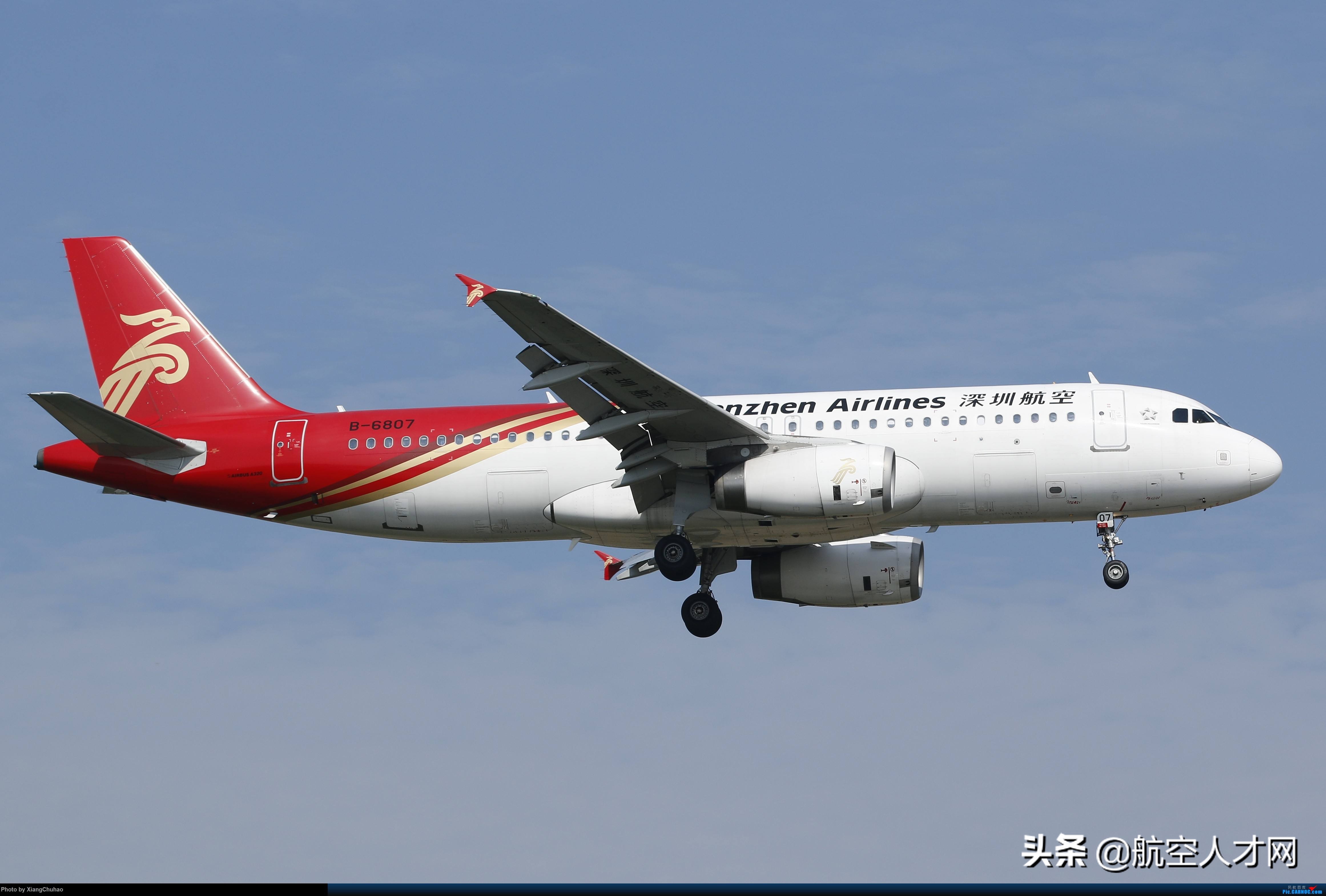 深圳航空公司四川分公司招聘,深圳航空沈阳分公司招聘