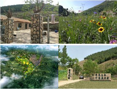 青岛理工大学琴岛学院：从琴院到清华，从专科到博士