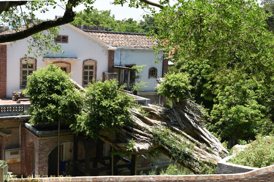 厦门海悦山庄酒店附近酒店,厦门海悦山庄酒店攻略