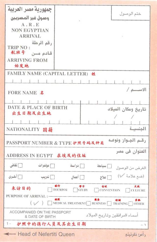 埃及旅游攻略书籍,埃及旅游冷知识