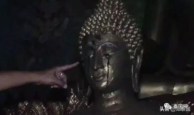 “尸体腐烂后会打嗝,我很害怕,但是我爱这份工作!”