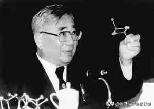 客家精英系列之八十一：“毛估”助“三卢院士”震撼中外