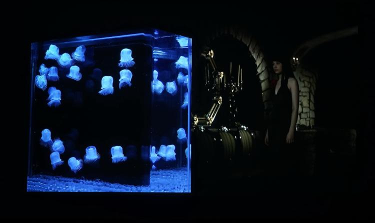 当贝投影f3对比灯泡机,当贝f3投影灯泡