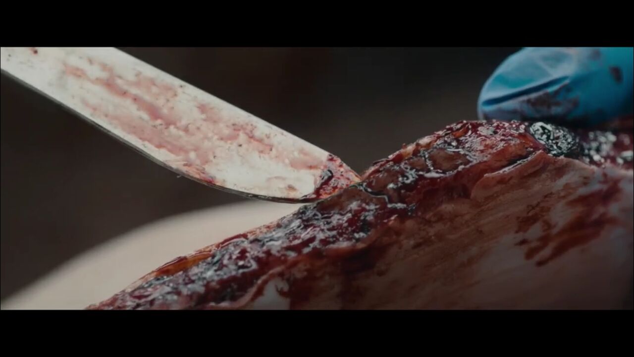 女主角竟是绝色女尸？含爱情、亲情的精彩惊悚片——《无名女尸》