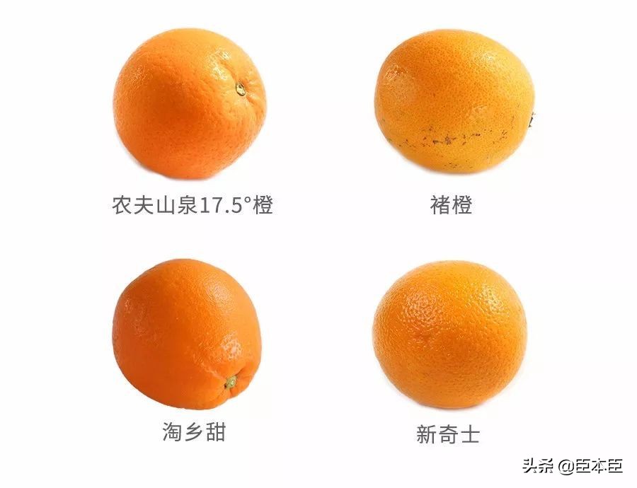 酸甜口的橙子适合怎么吃,鲜橙子怎么挑汁多的