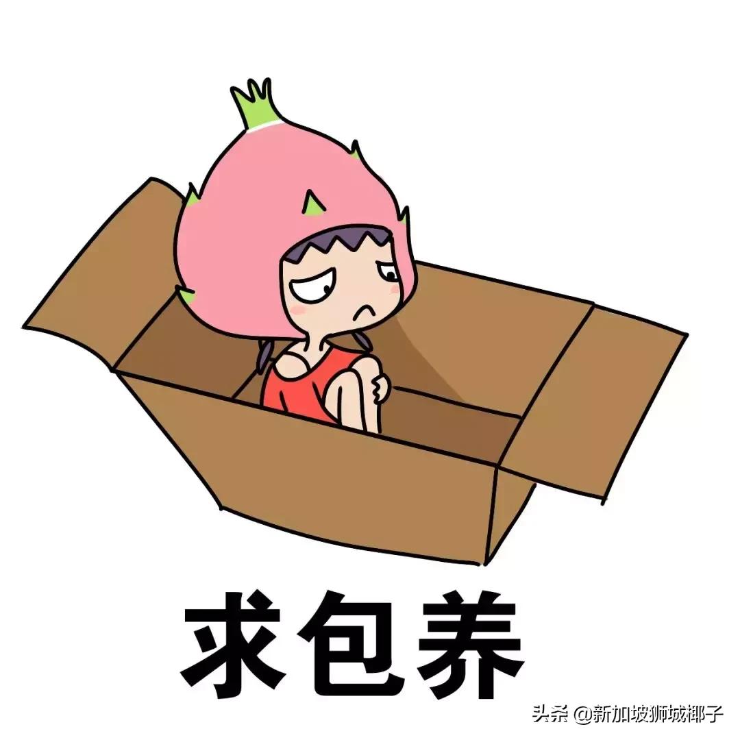 新加坡赚钱工作,在新加坡兼职怎么找工作