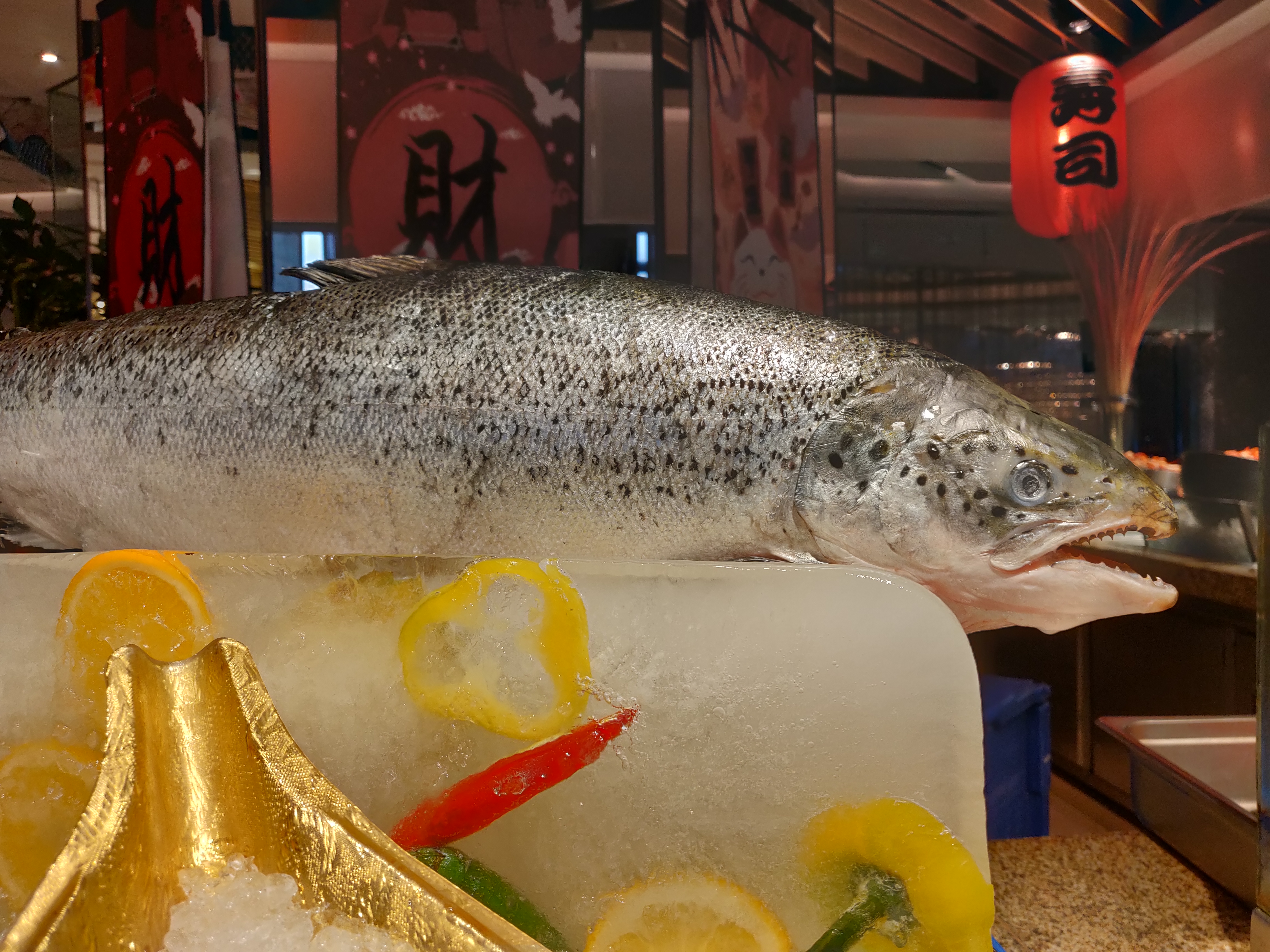 去香格里拉吃自助,请北方朋友吃自助是什么体验