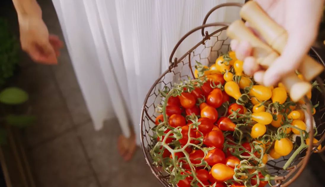 李子柒靠海外视频月入80万,德国版李子柒