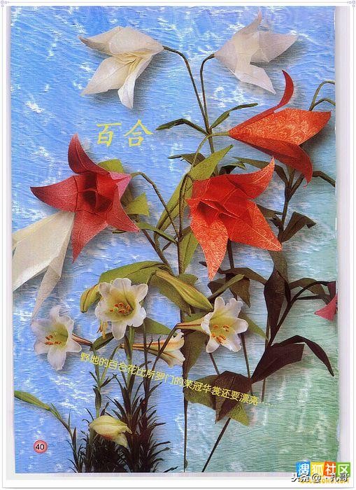 折纸大全方便又漂亮又实用,精致实用的折纸大全步骤