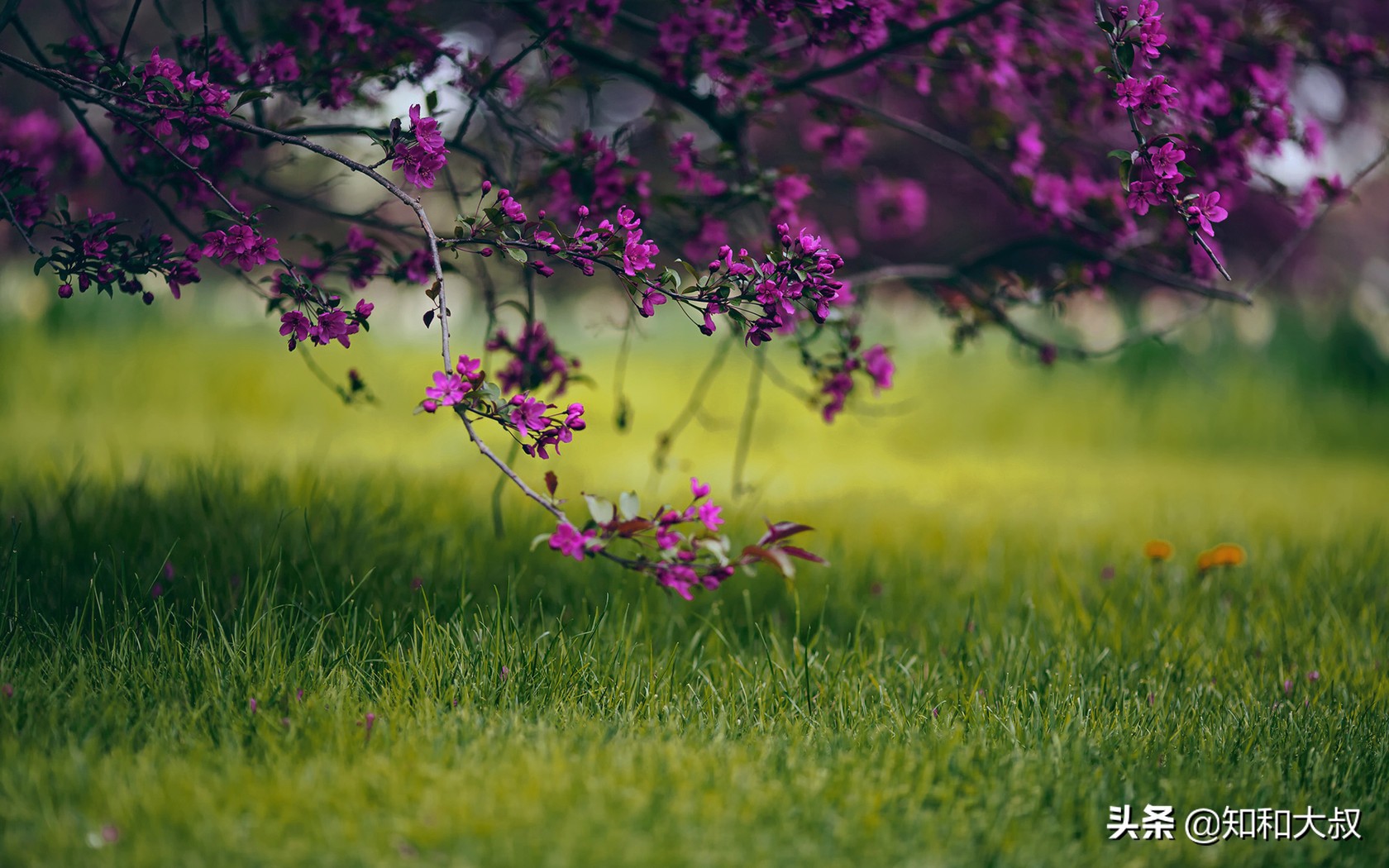 一个被别人瞧不起的人该怎么办,被人瞧不起时如何做好三件事