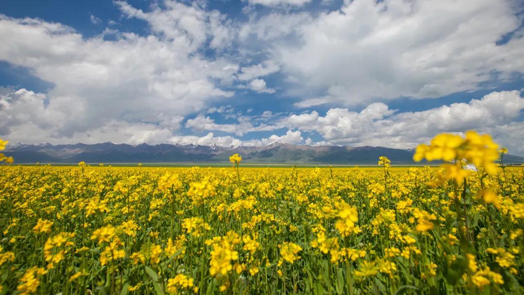 青海最值得去的11个网红景点,青海人间仙境美如画