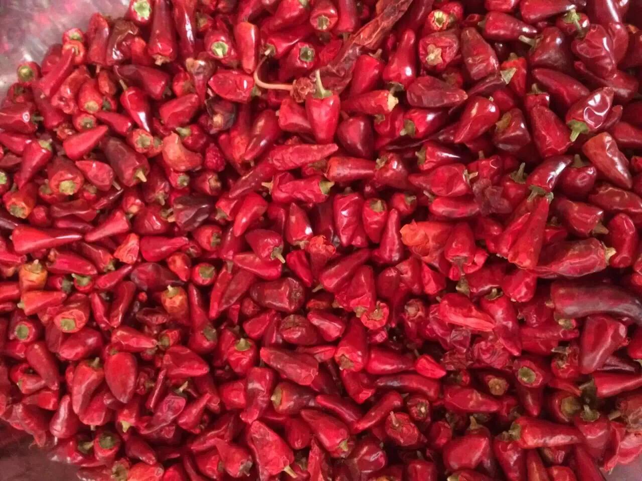 重庆师傅江湖菜,重庆火锅重庆火锅师傅