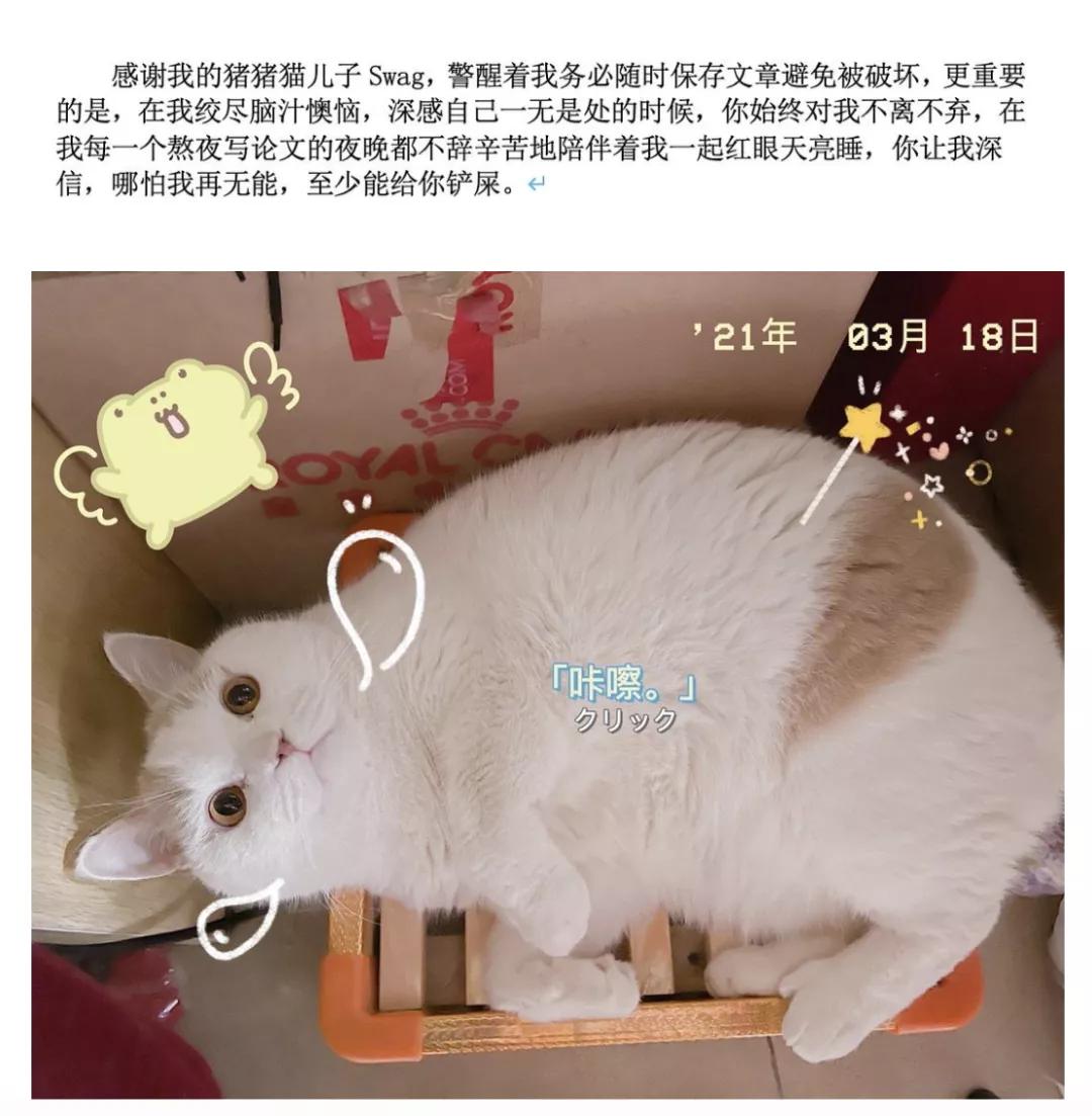 写在论文致谢里的浪漫,被写进论文致谢里真的很浪漫