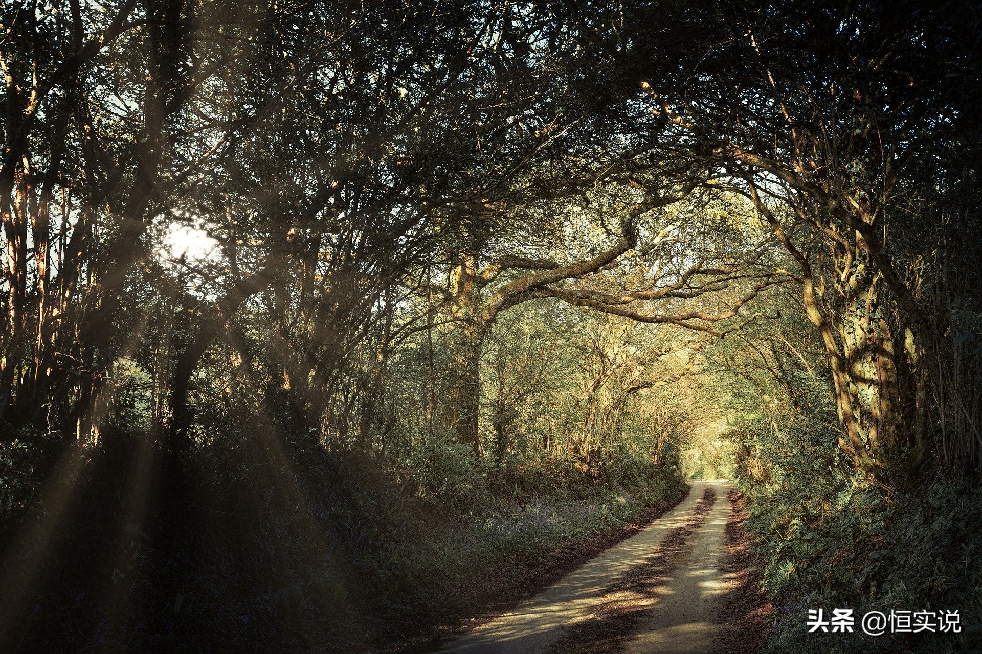 掌握自己命运的励志句子,关于命运由个人掌握的金句