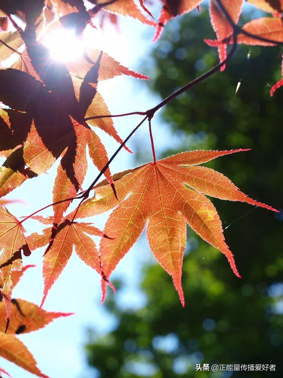 全世界50个最美景点,全球公认的最美的二十个地方