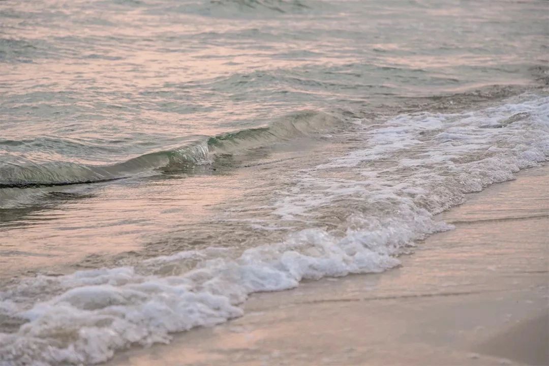 深圳10大旅游好去处,深圳盐田区周末休闲浪漫好去处