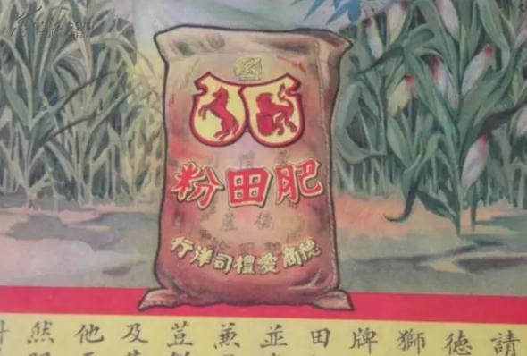 无土栽培技术视频免费,蔬菜无土栽培技术视频