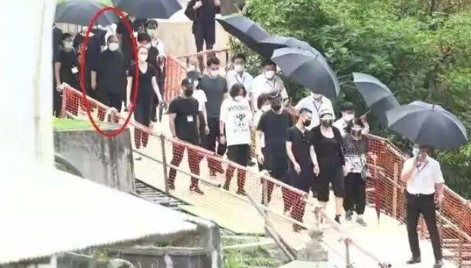 赌王千亿家产之谜视频,赌王家族到底有多豪横