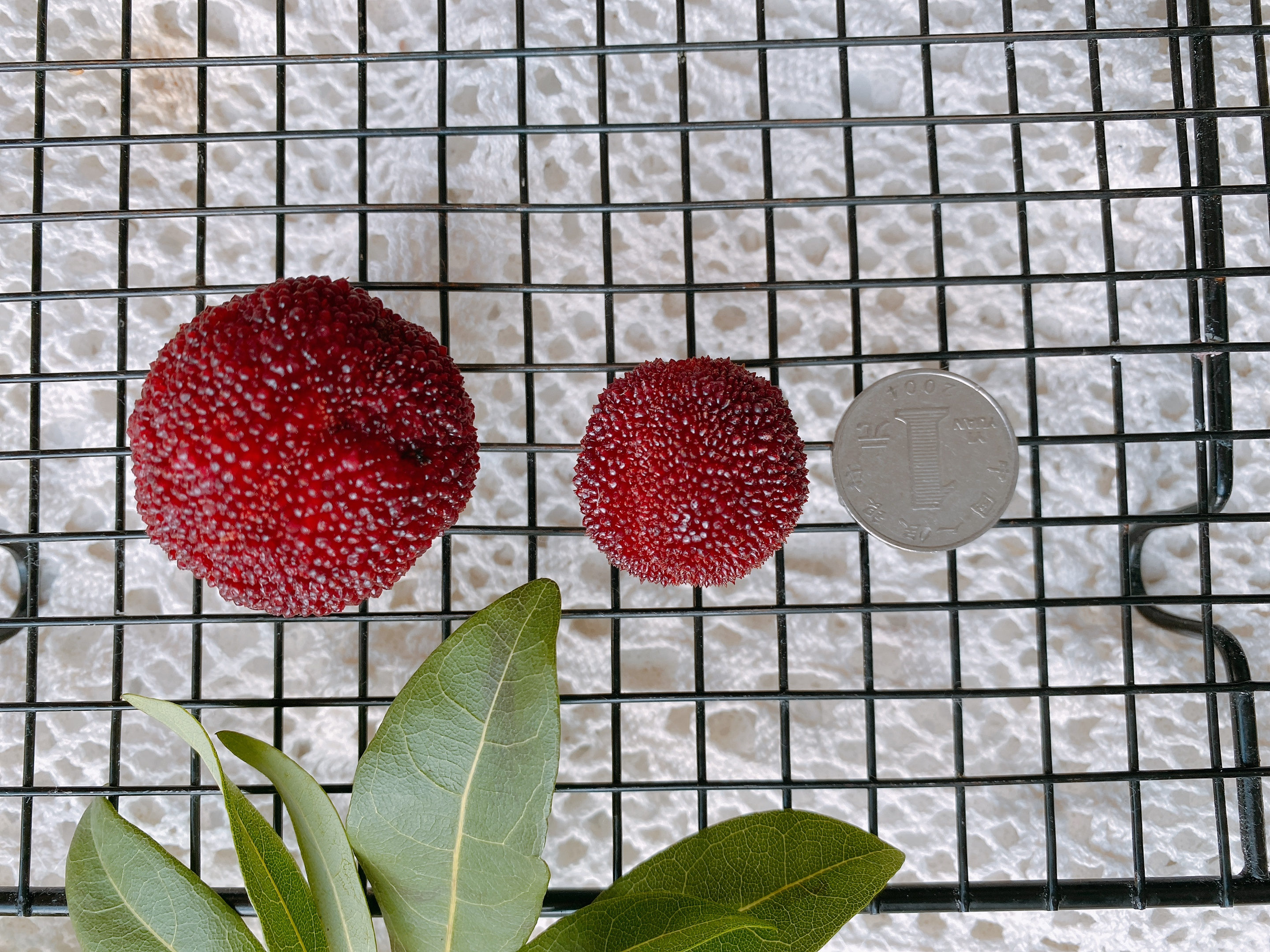 泡杨梅酒的教程十斤酒放多少杨梅,老品种杨梅泡制方法