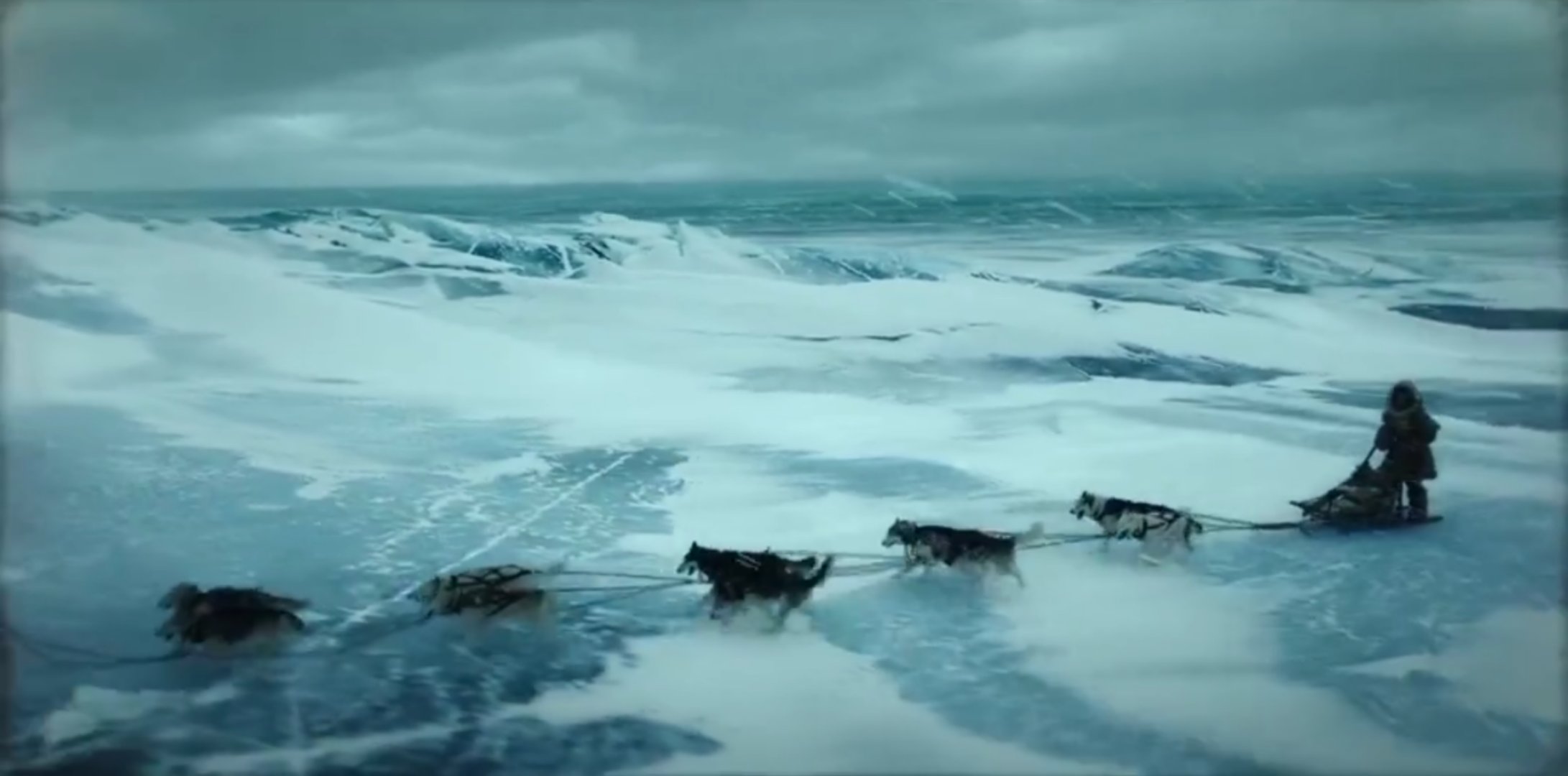 多哥电影讲的什么故事,电影多哥主要讲了什么