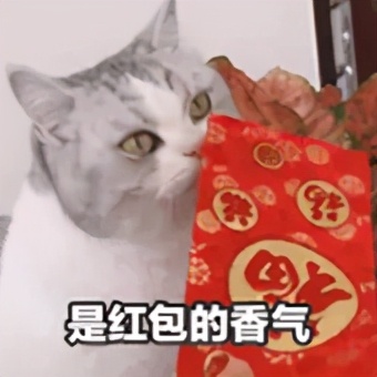 微信红包出了啥新功能,微信8.0红包新玩法