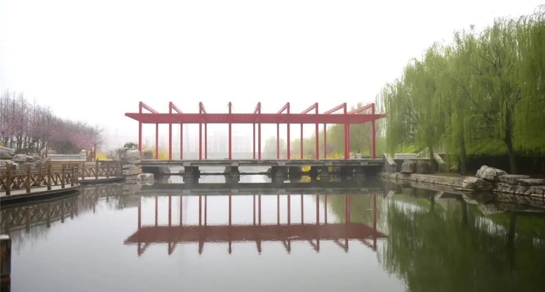 青岛黄海学院专科招生计划,青岛黄海学院单招情况