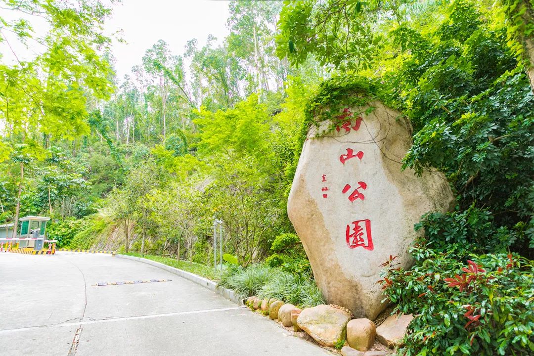 哪里叫南油,南油地铁站