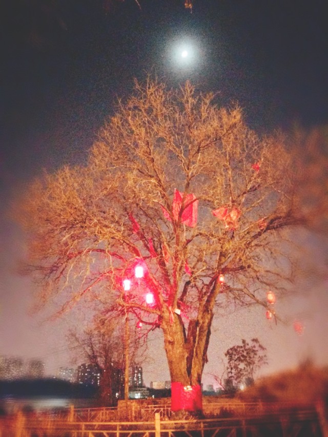 我认为疫情当下最适合的创业方法,疫情过后创业的建议和想法