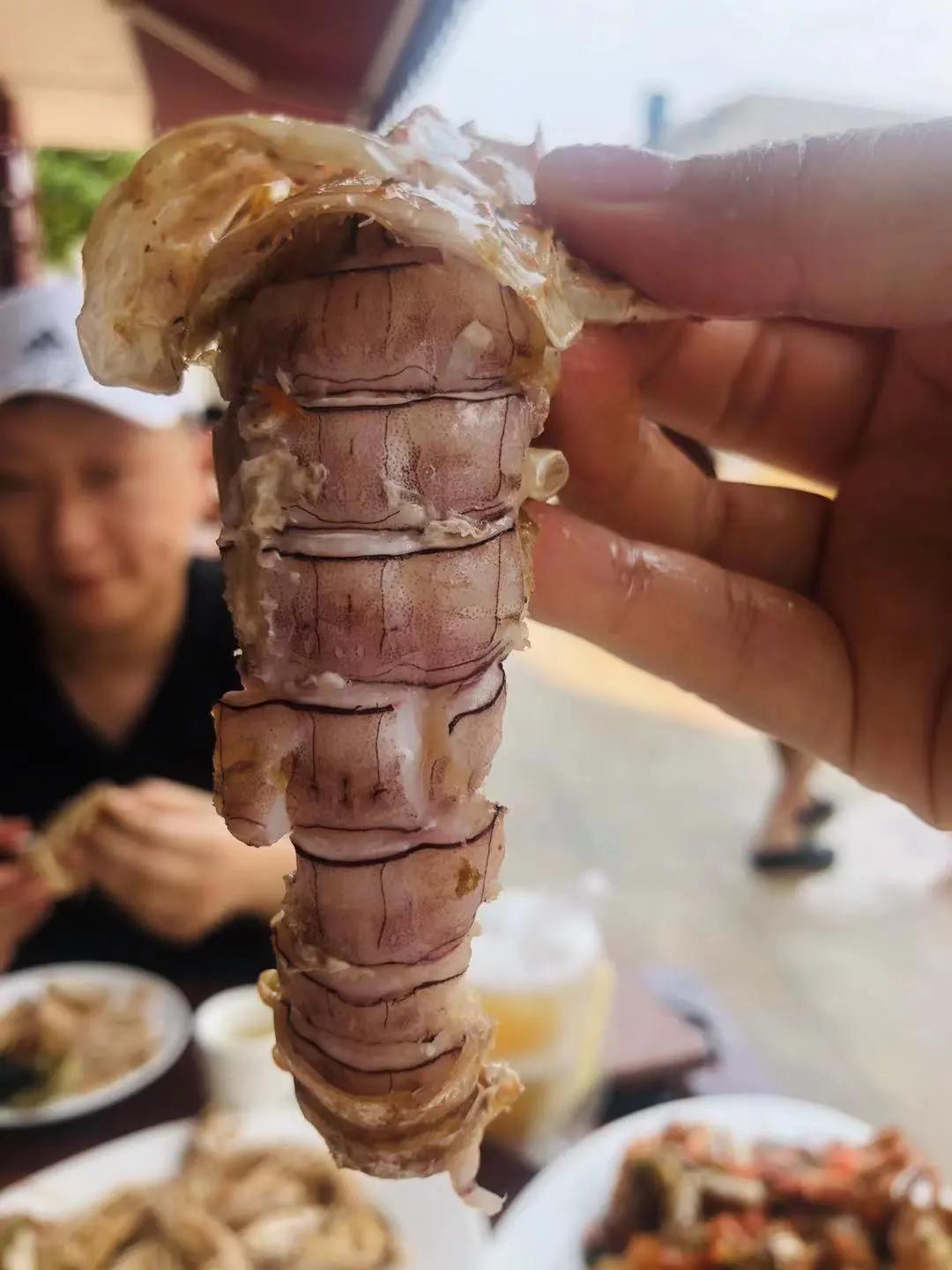 外伶仃岛要花多少钱,外伶仃岛人均消费多少钱