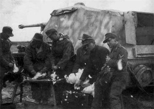 德军二战为什么要打苏联,德军二战时为什么打俄军