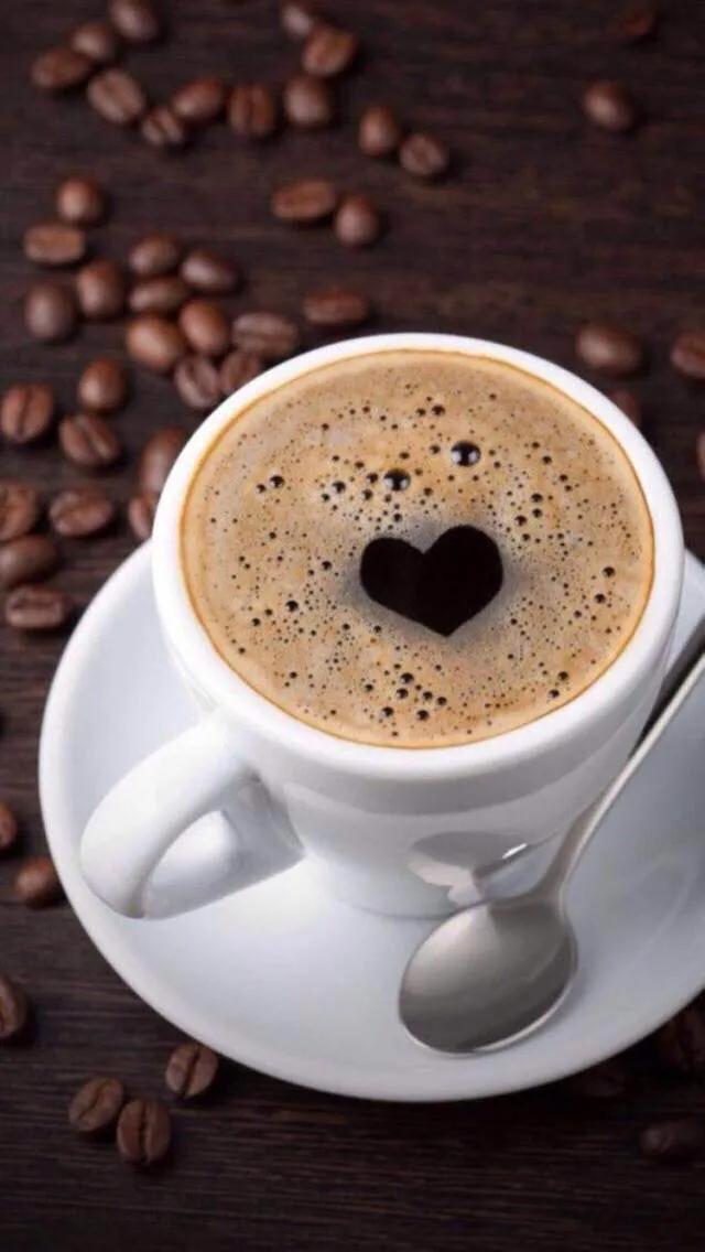 100g食物碳水化合物含量,各种食物碳水蛋白质脂肪含量