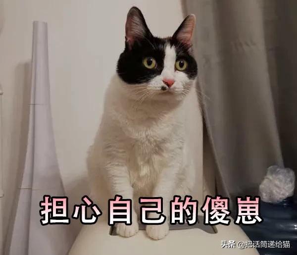 求助！我的猫以为自己是我妈怎么办？