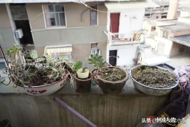 37.9℃发烧,爸妈不在家自己发烧39度